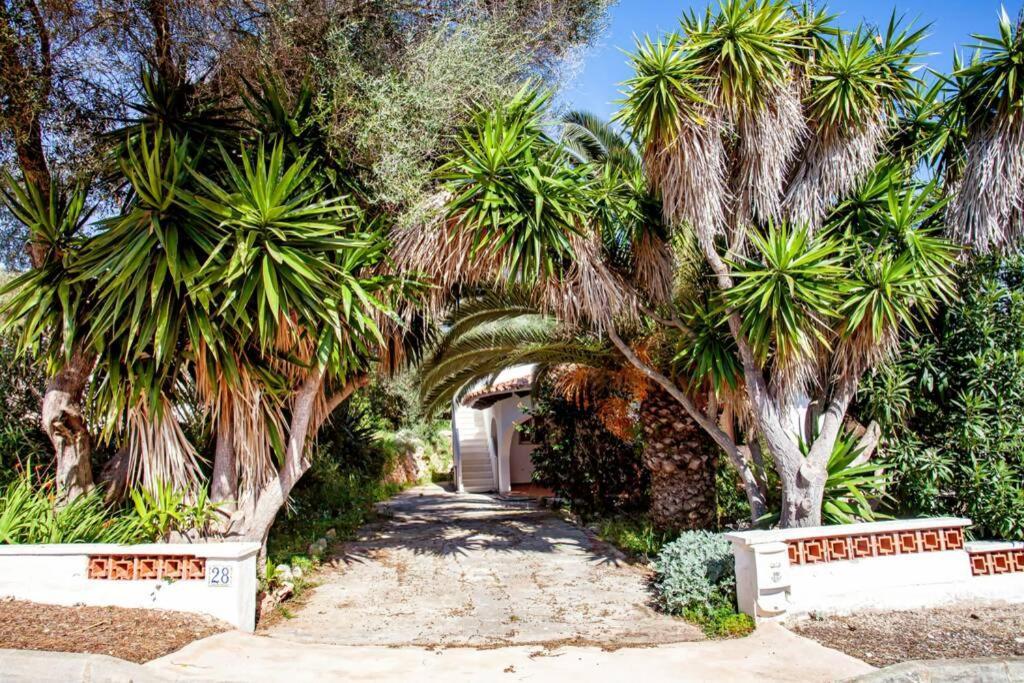 Villa Cecylia Es Canutells Exterior photo